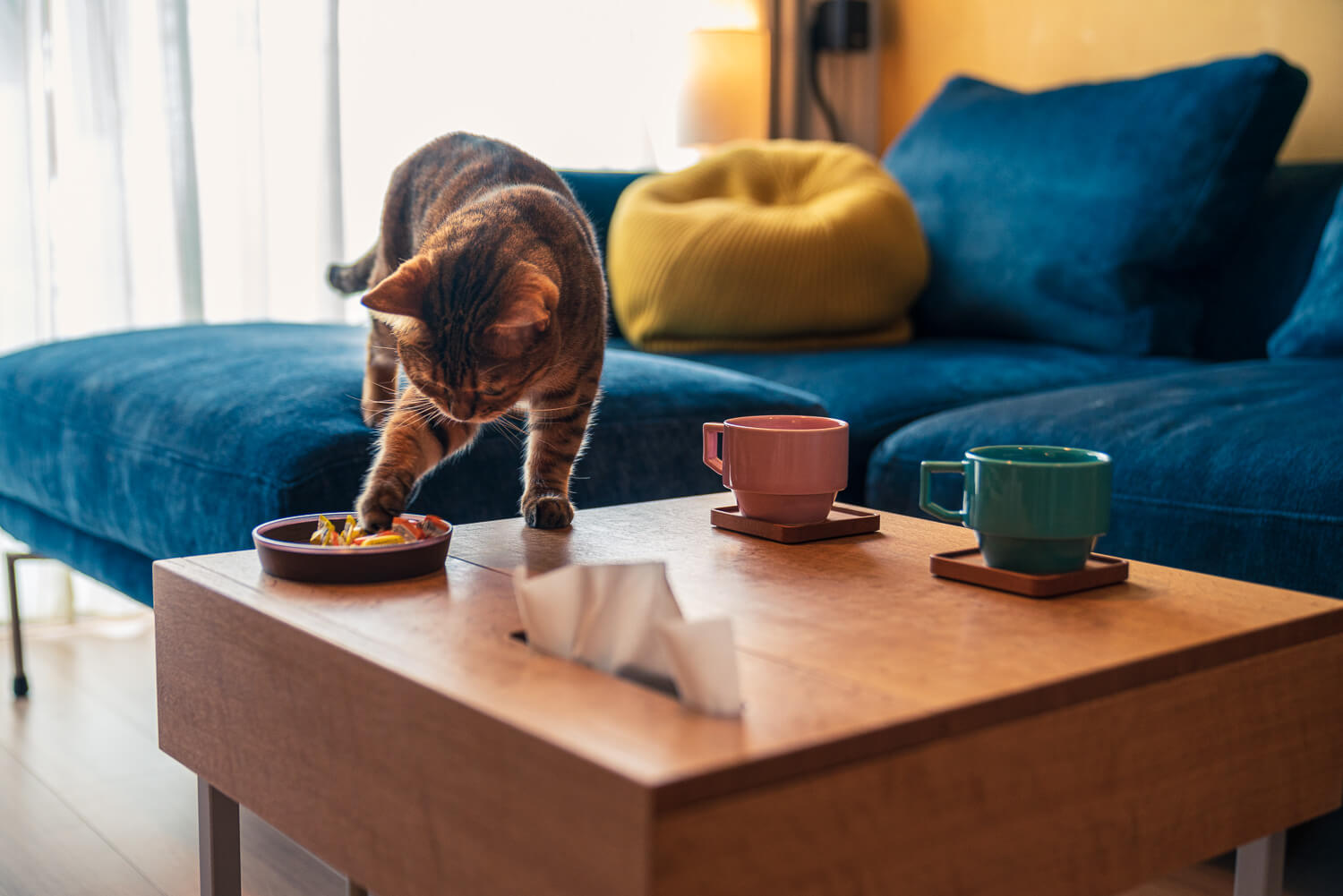 コーヒーテーブル